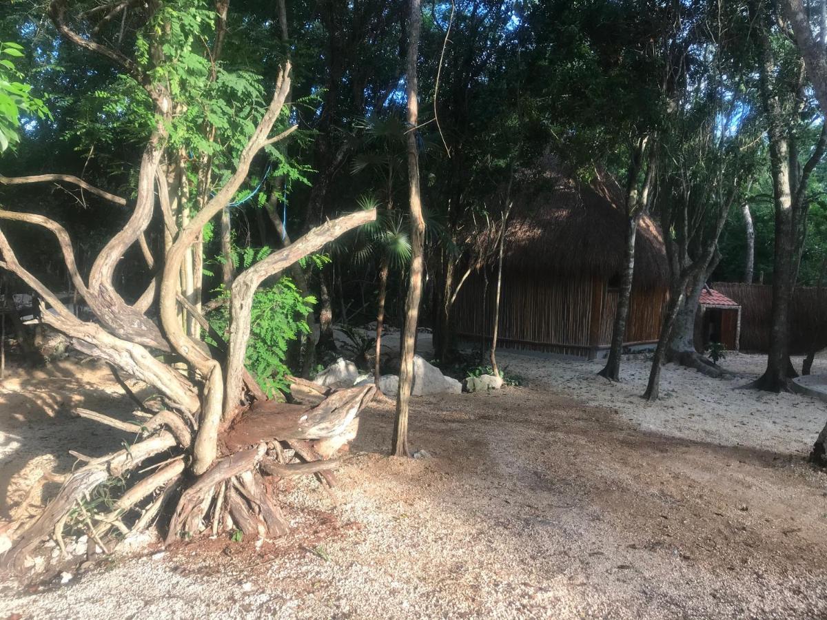 Отель Tulum Nueve Экстерьер фото
