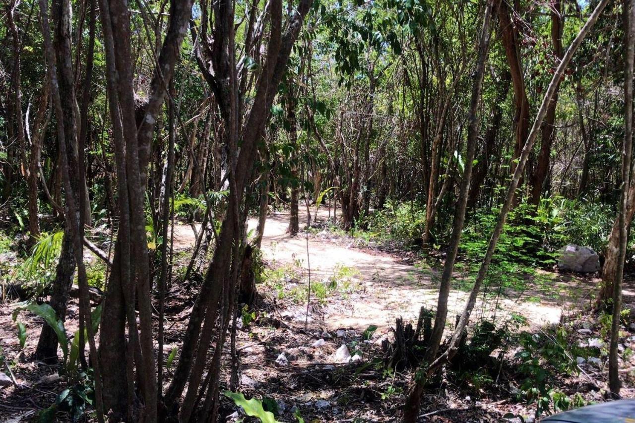 Отель Tulum Nueve Экстерьер фото