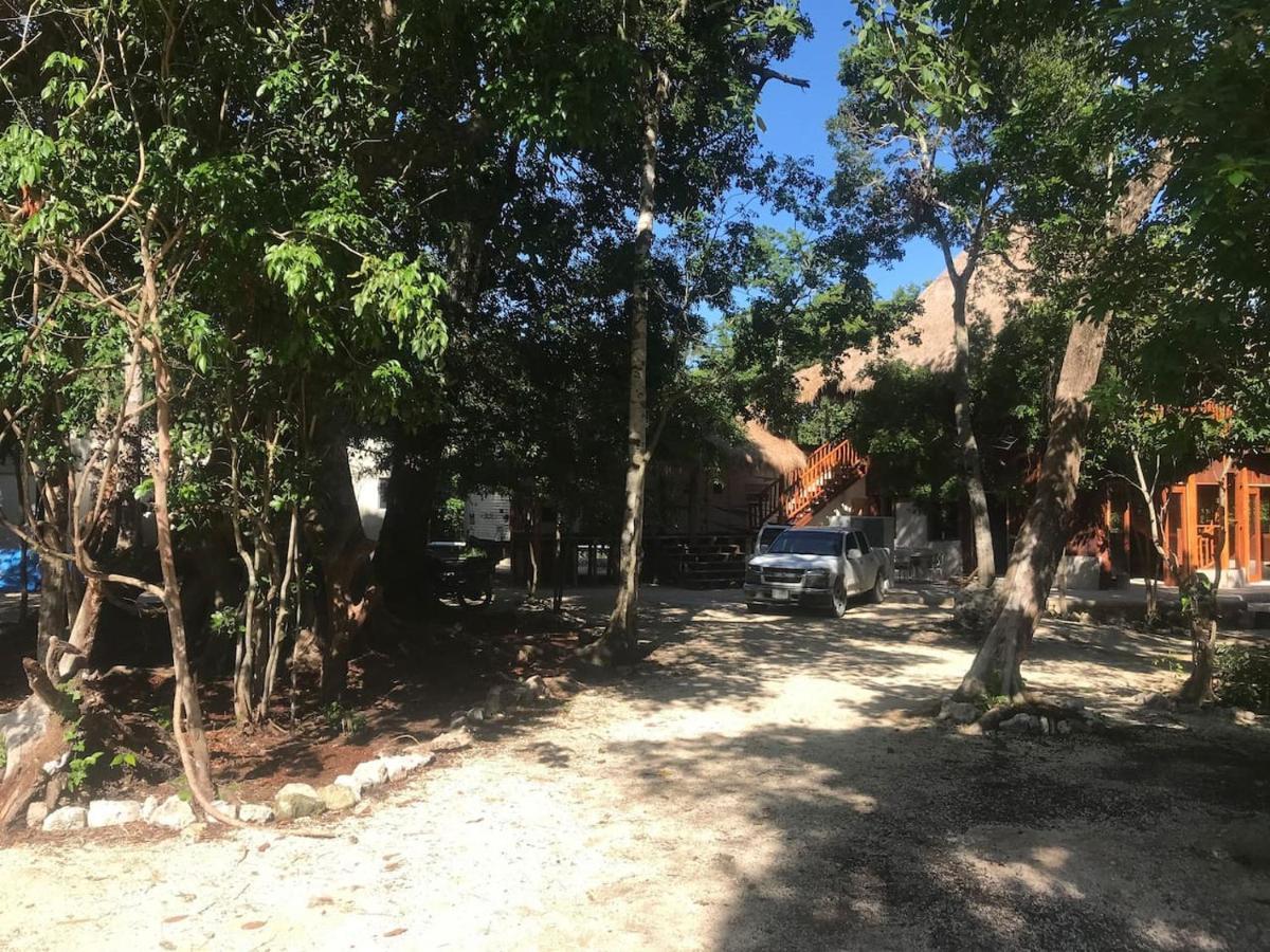 Отель Tulum Nueve Экстерьер фото