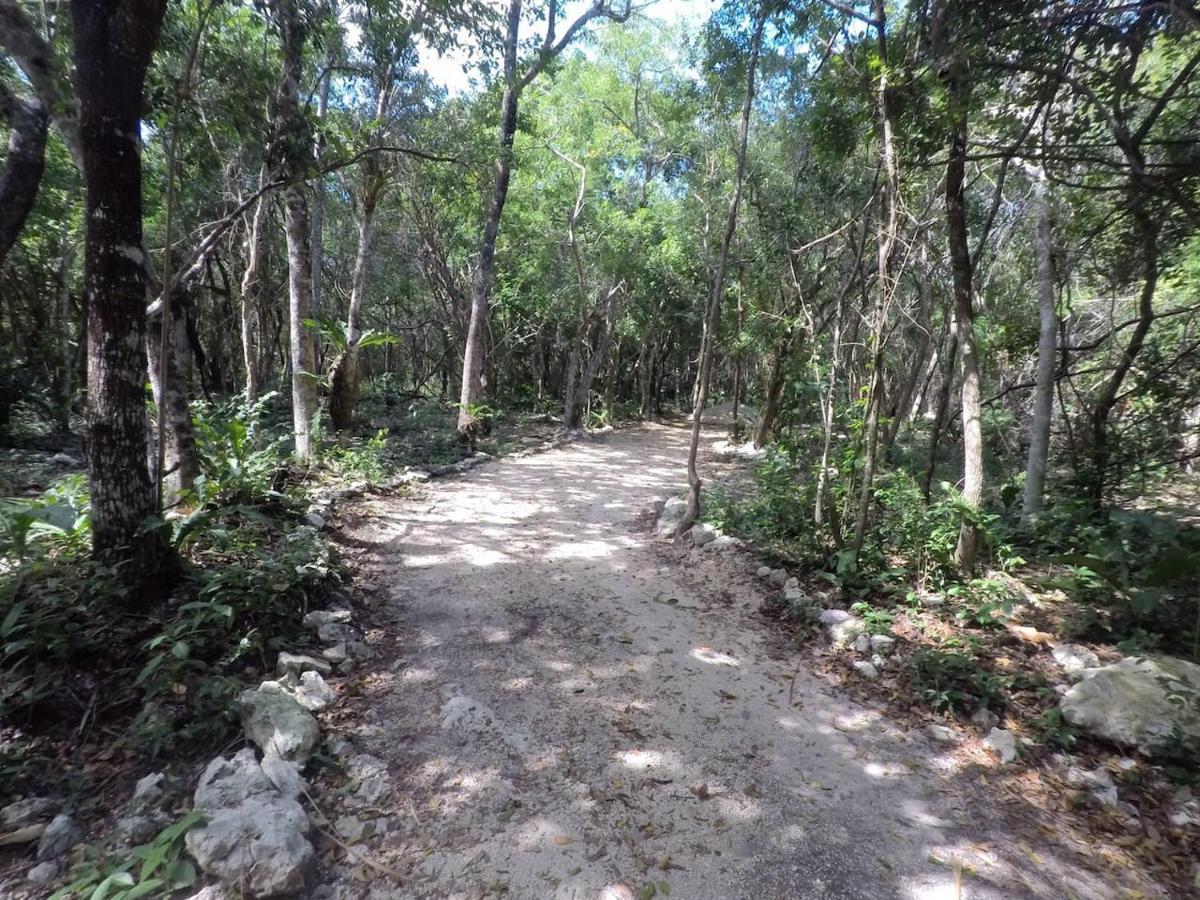 Отель Tulum Nueve Экстерьер фото