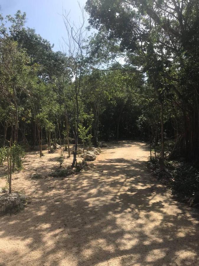 Отель Tulum Nueve Экстерьер фото
