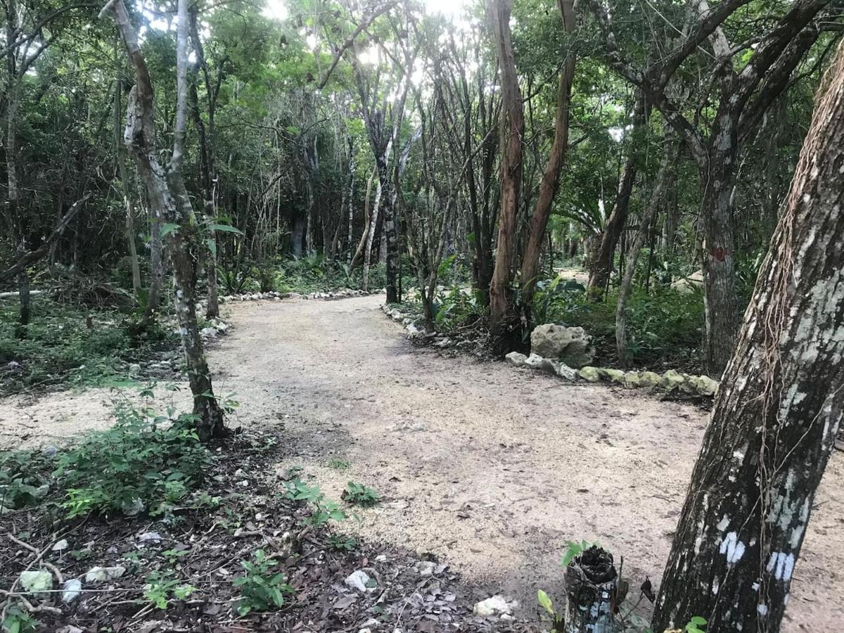 Отель Tulum Nueve Экстерьер фото